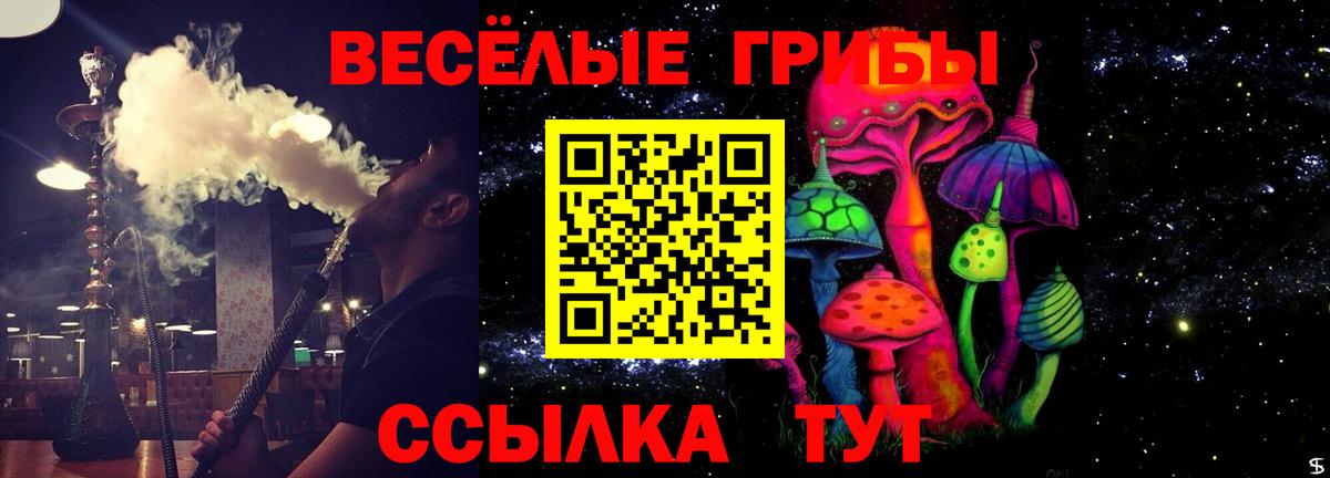 Псилоцибиновые грибы мицелий  Вход с VPN  цены наркотик  Ростов Великий  Псилоцибиновые грибы Cubensis 